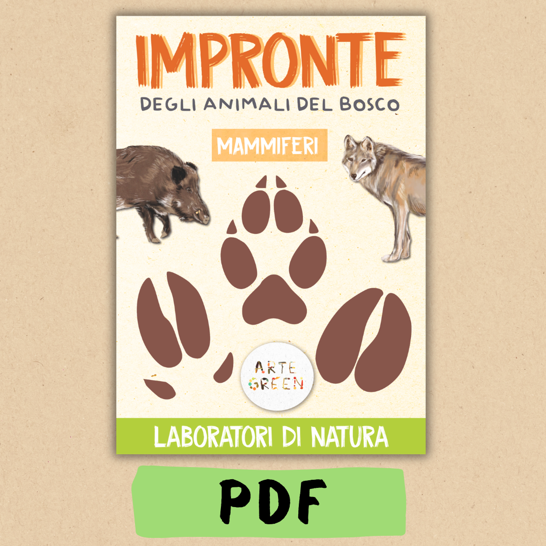 Impronte animali del bosco – Laboratorio di natura