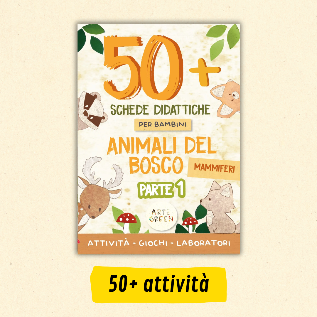 Schede didattiche animali del bosco – attività, giochi e laboratori